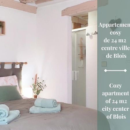 Blois City - Le Petit Saint Jean Exterior photo